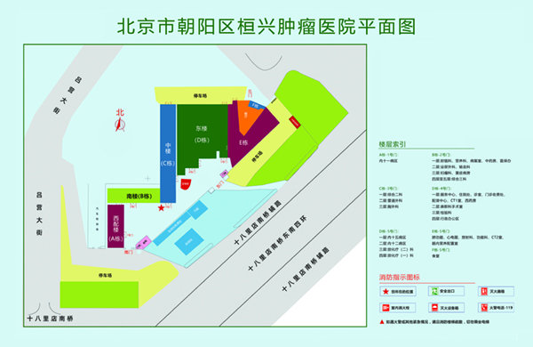 大陆骚逼草草草北京市朝阳区桓兴肿瘤医院平面图